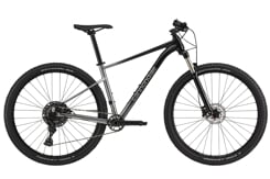 CANNONDALE TRAIL 29" SL 4 (C26452M10/GRY)