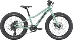 CANNONDALE KIDS TRAIL PLUS 20" (C5203GU20/CTG)